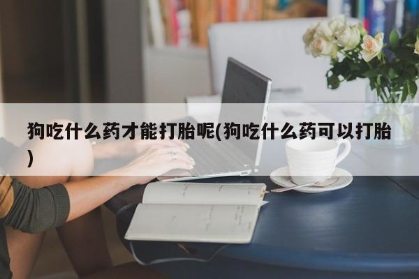 堕胎药叫什么名字微信怎么购买狗吃什么药才能打胎呢(狗吃什么药可以打胎)